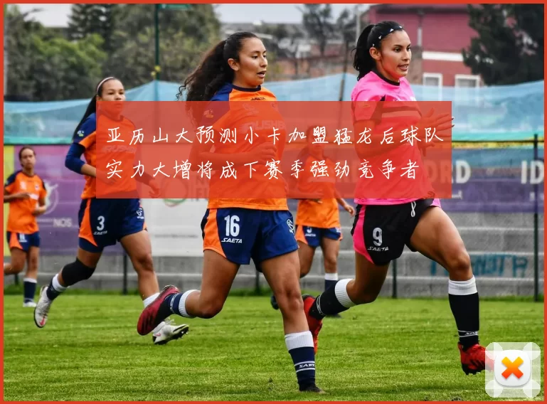 亚历山大预测小卡加盟猛龙后球队实力大增将成下赛季强劲竞争者